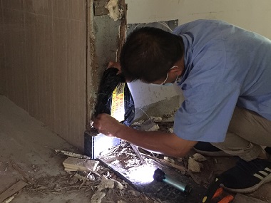 桂城灭治白蚁中心消杀白蚁的有效药物及使用方法