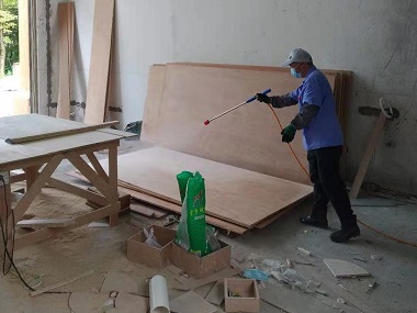 大沥白蚁防治站家庭做白蚁预防后的好处