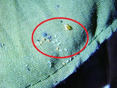 狮山专业杀虫中心床垫长虫子怎么处理？