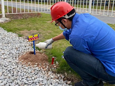 大沥有害蚁类防控所：红火蚁防治的方法