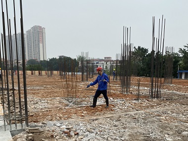 佛山白蚁预防站建房地基如何防白蚁