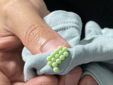 大沥专业杀虫站几招教你消灭家里的臭虫